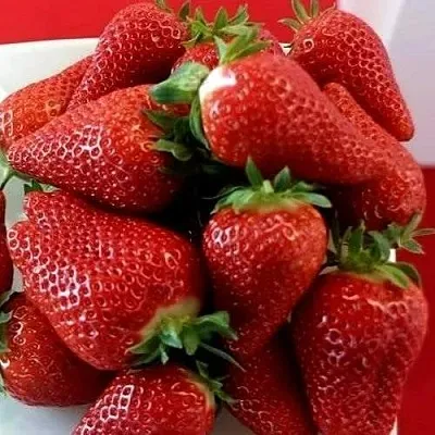 Клубника БРИЛЛА  Клубника БРИЛЛА в Мурманске