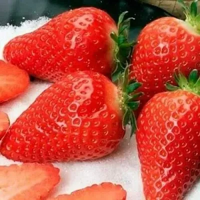 Клубника АЛЬБА  Клубника АЛЬБА в Мурманске