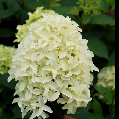 Средняя в Мурманске