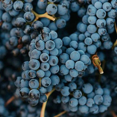 Технический в Мурманске